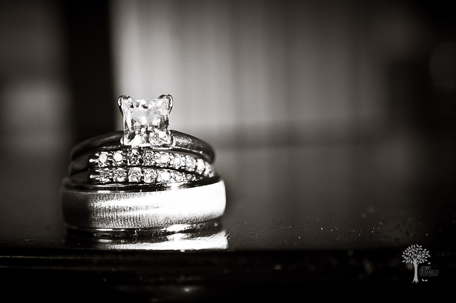 bands, Black & White, engagement ring, platinum, rings, new braunfels
