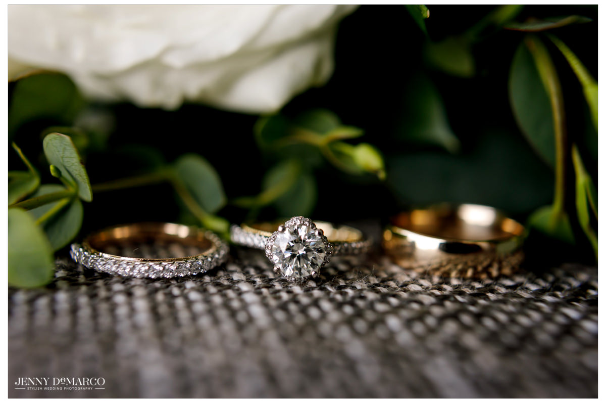 A detail shot of the wedding bands.