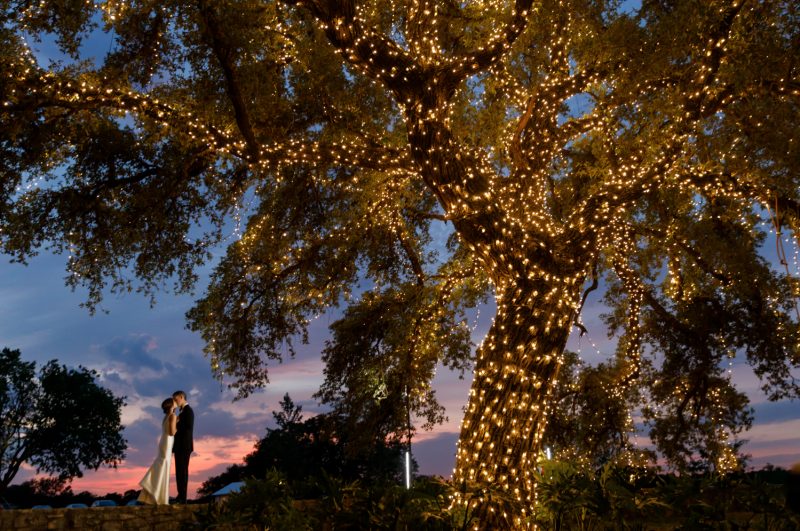 bride and groom portrait under oak tree with shinning lights as the sun sets