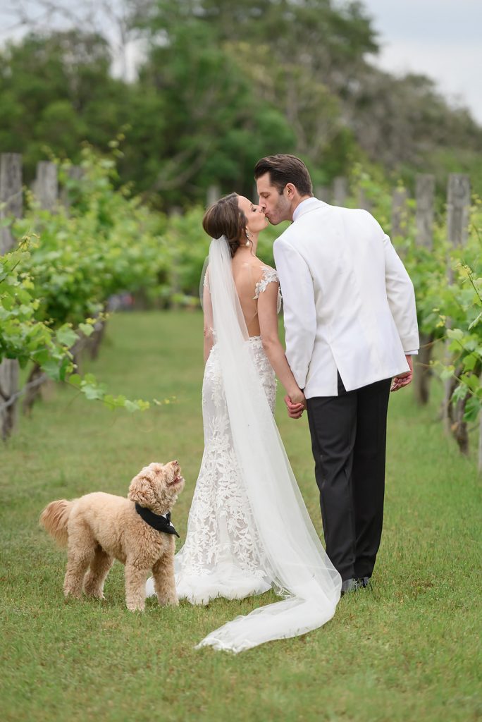 bride and groom kissing in the vineyard with their puppy looking up at them