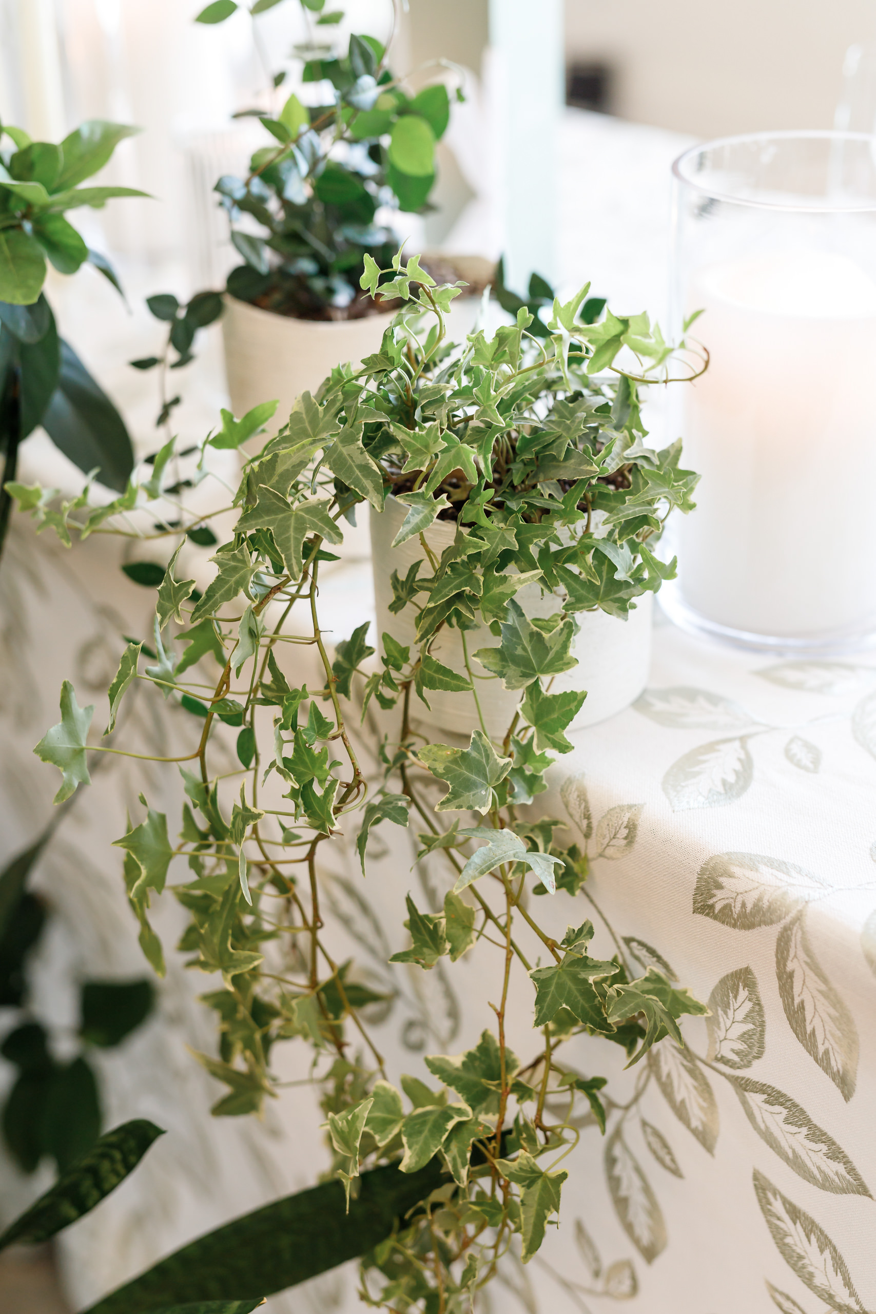 Green ivy floral details