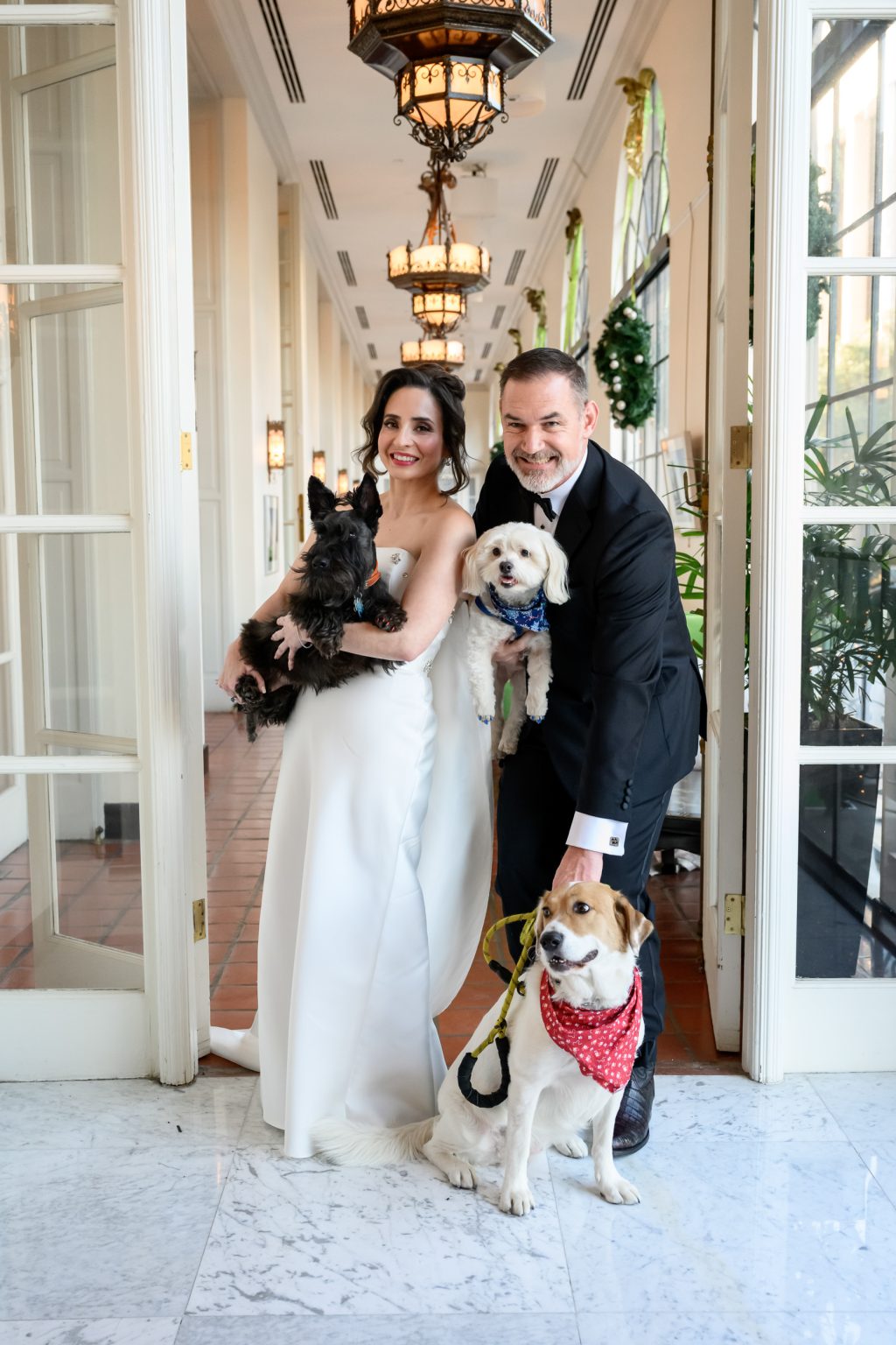 Bride and groom walking through The St. Anthony Hotel with their dogs