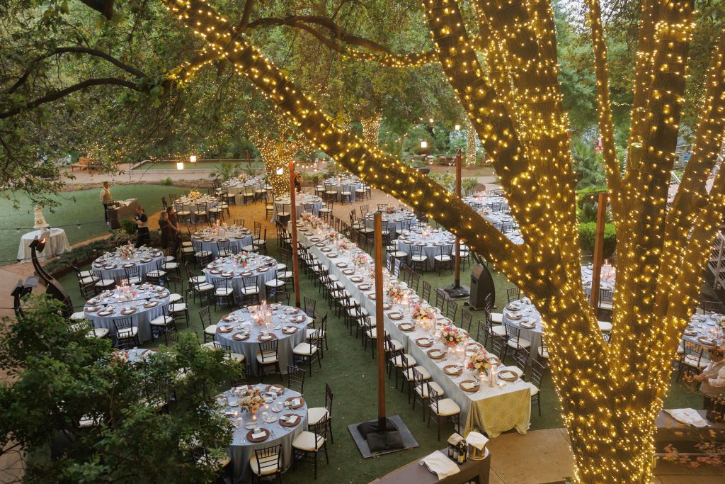 Dinner under the trees under the four seasons lawn