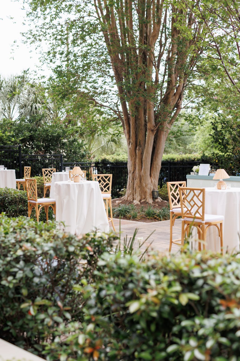 Outdoor wedding tables arranged beneath mature trees in the garden at La Colombe d’Or